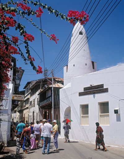View of Mandhry Mosque by Unbekannt Unbekannt